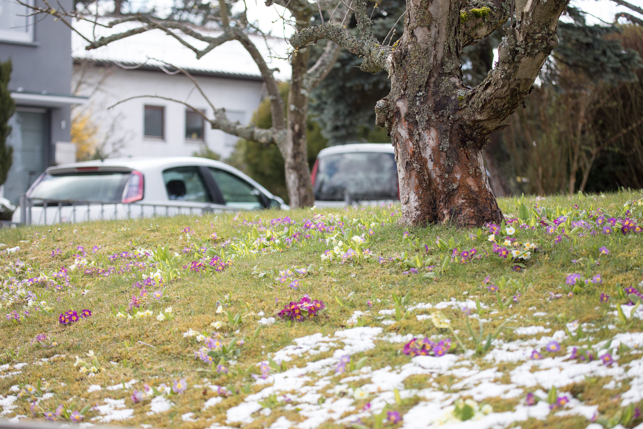 20220409142408 RD4 6392